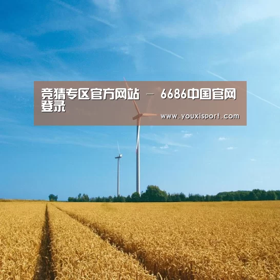 风能