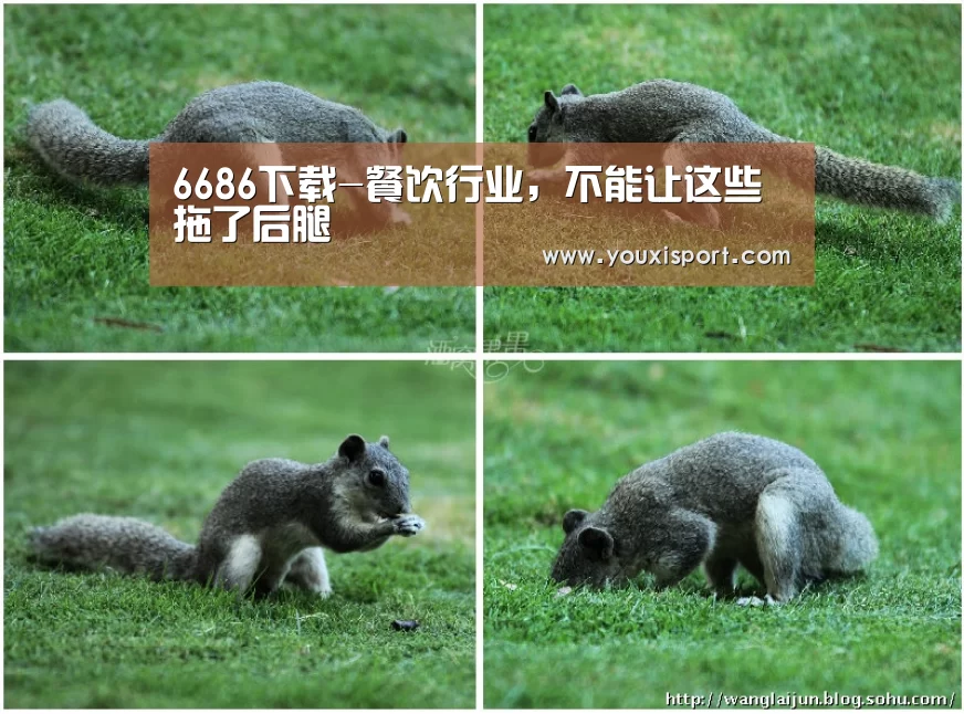 6686下载-餐饮行业,不能让这些拖了后腿(图2) 6686平台