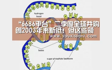 6686入口