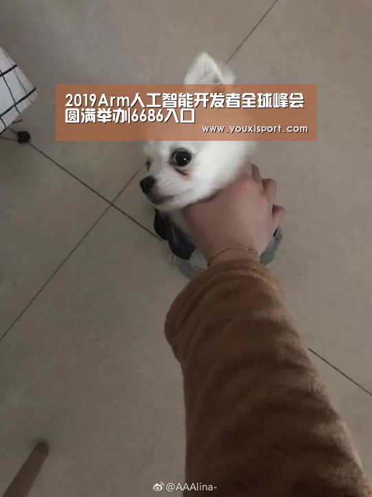 2019Arm人工智能开发者全球峰会圆满举办|6686入口(图1) 6686平台