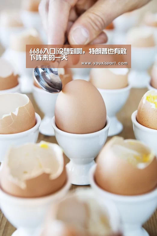 6686入口|没想到啊,特朗普也有败下阵来的一天(图3) 6686赛事