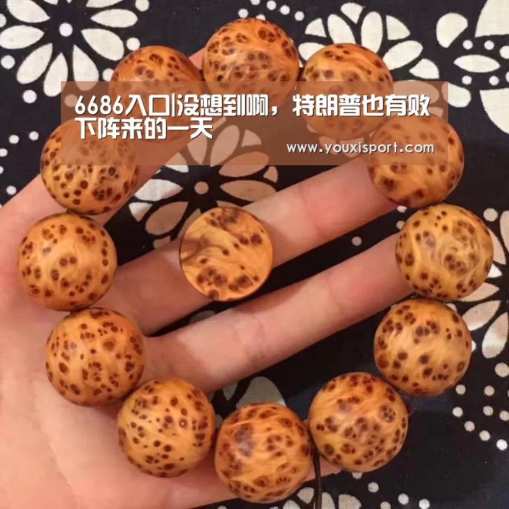 6686入口|没想到啊,特朗普也有败下阵来的一天(图4) 6686下载