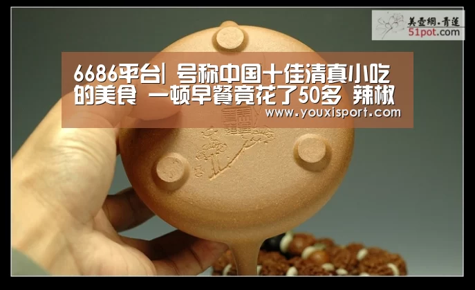 6686平台|
号称中国十佳清真小吃的美食 一顿早餐竟花了50多 辣椒和醋必加(图2) 6686入口