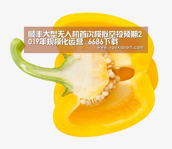 顺丰大型无人机首次模拟空投预期2019年规模化运营-6686下载(图1) 6686下载
