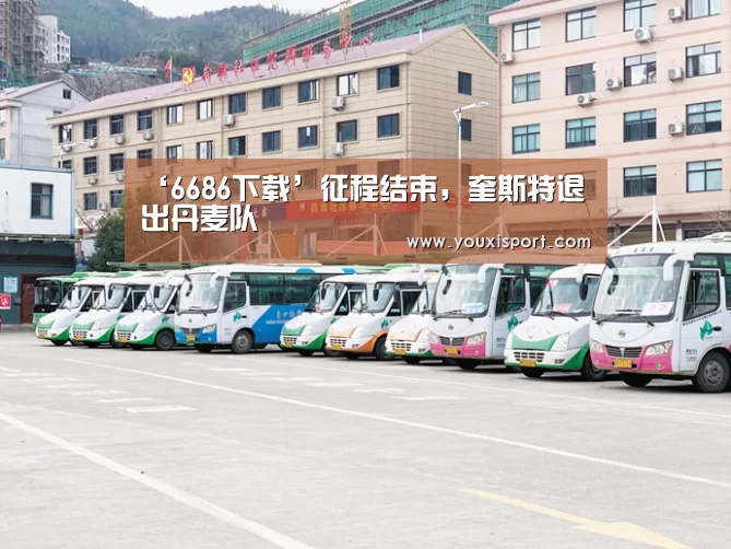 ‘6686下载’征程结束,奎斯特退出丹麦队(图1) 6686赛事