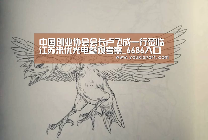 中国创业协会会长卢飞成一行莅临江苏米优光电参观考察_6686入口(图1) 6686平台