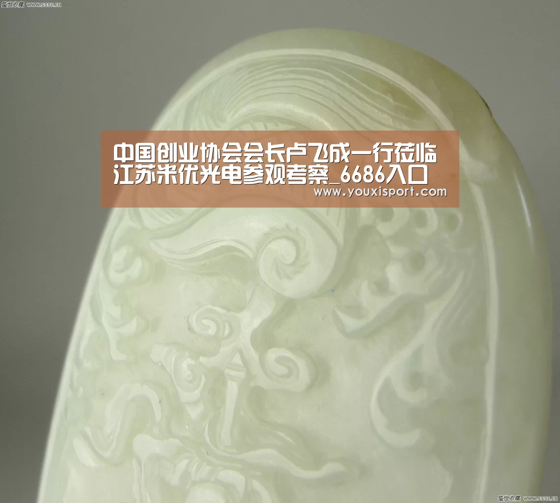 中国创业协会会长卢飞成一行莅临江苏米优光电参观考察_6686入口(图3) 6686下载
