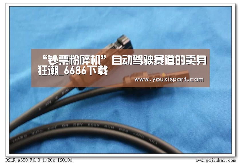 “钞票粉碎机”自动驾驶赛道的卖身狂潮_6686下载(图1) 6686入口
