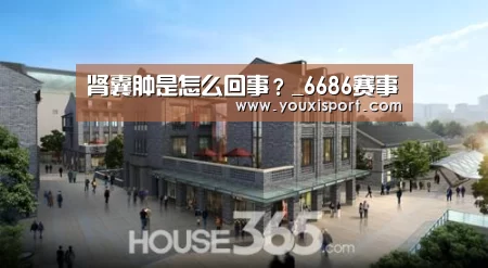 肾囊肿是怎么回事?_6686赛事(图2) 6686赛事