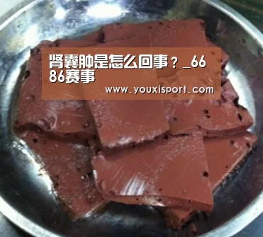 肾囊肿是怎么回事?_6686赛事(图3) 6686入口